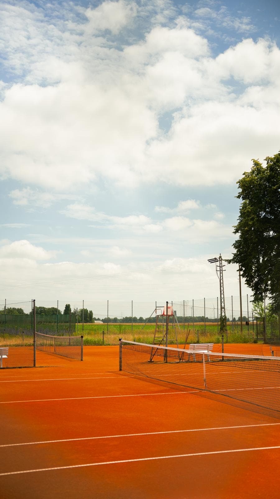 Tennis-Club Hoxhöfe - Bild 3